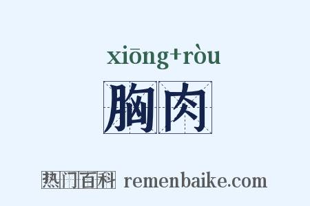 胸肉是什么意思的图片